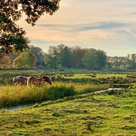 Ferienwohnungen Klein Kapelle Gingst Bagian luar foto