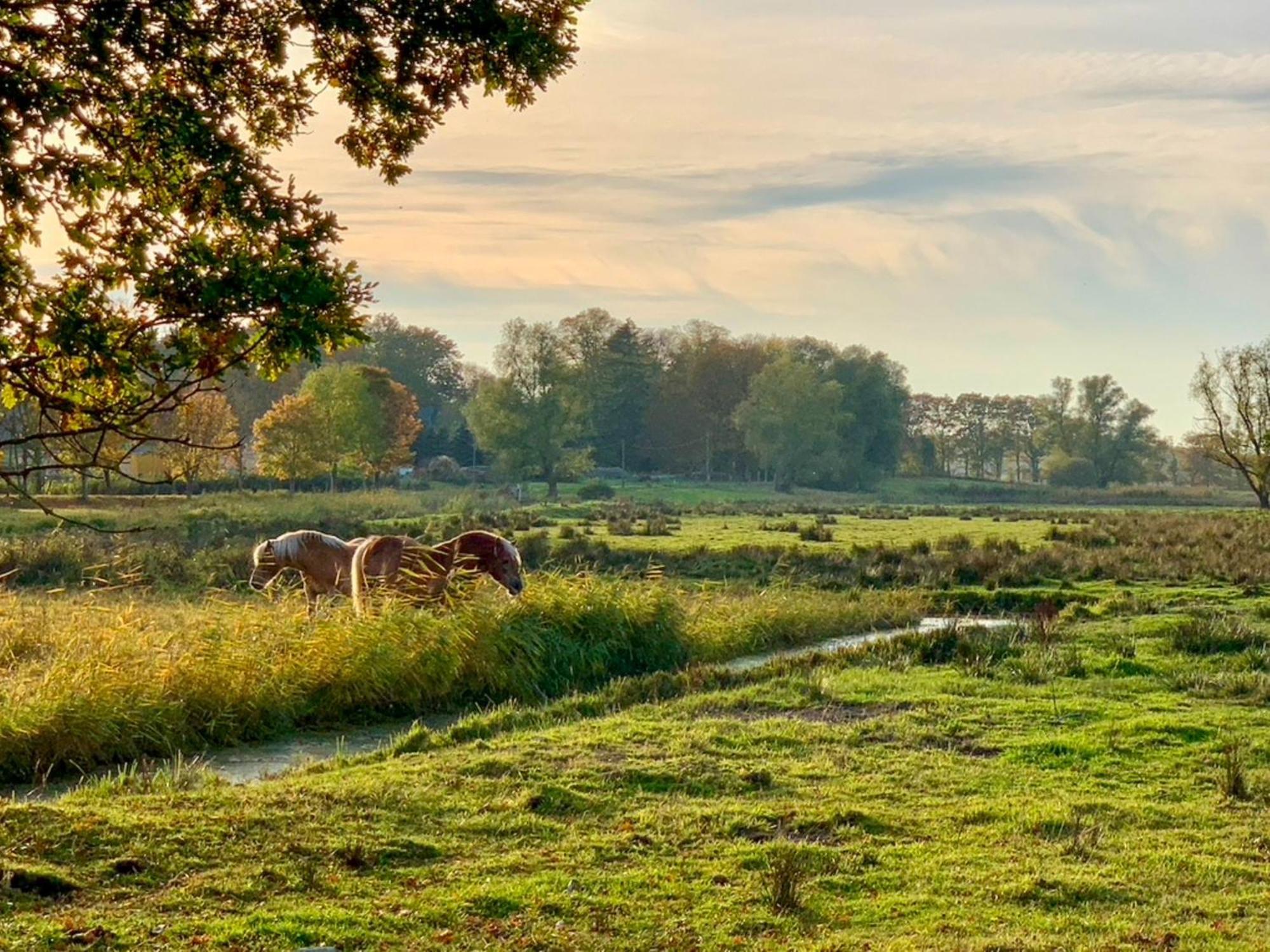 Ferienwohnungen Klein Kapelle Gingst Bagian luar foto