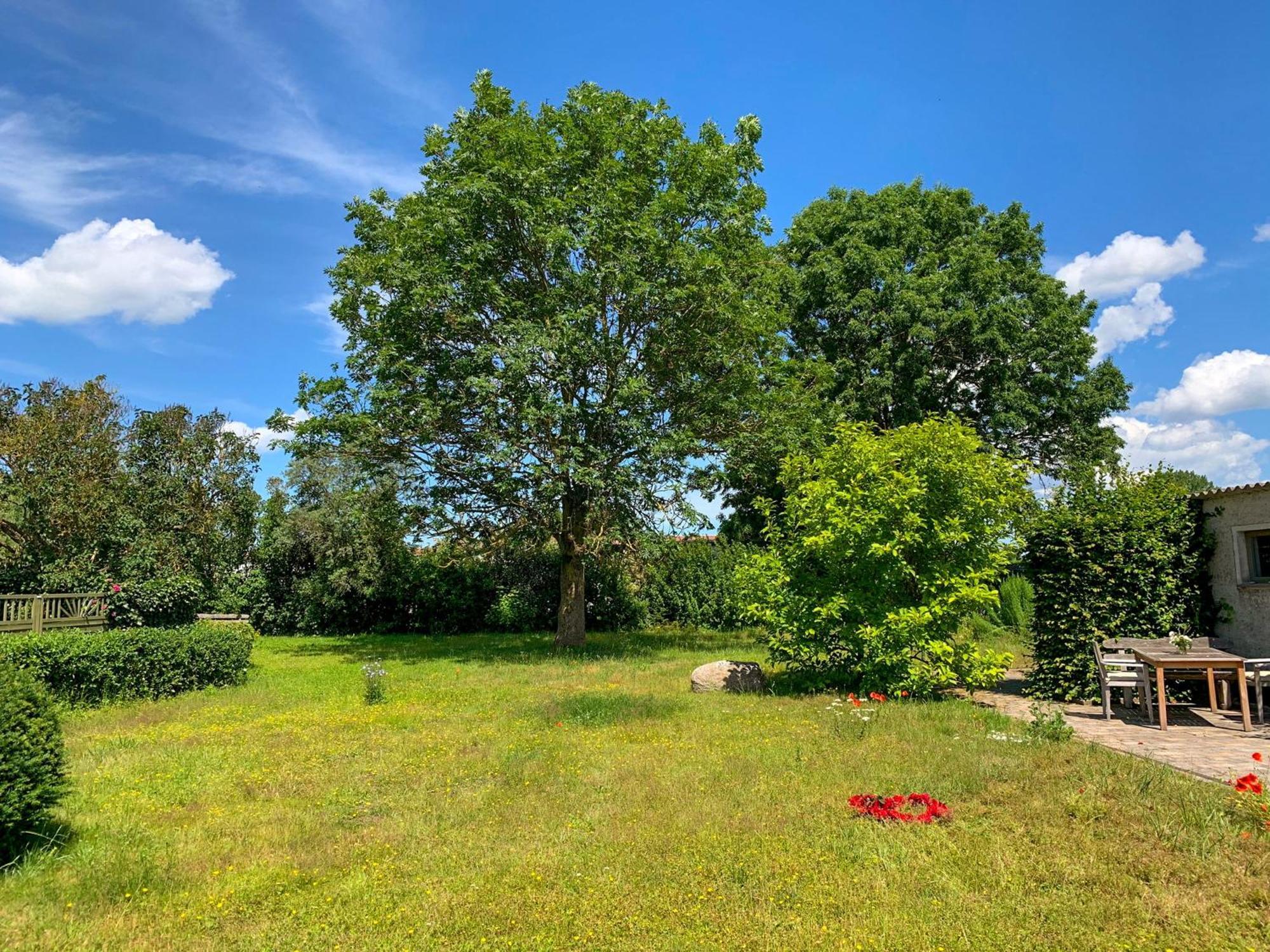 Ferienwohnungen Klein Kapelle Gingst Bagian luar foto