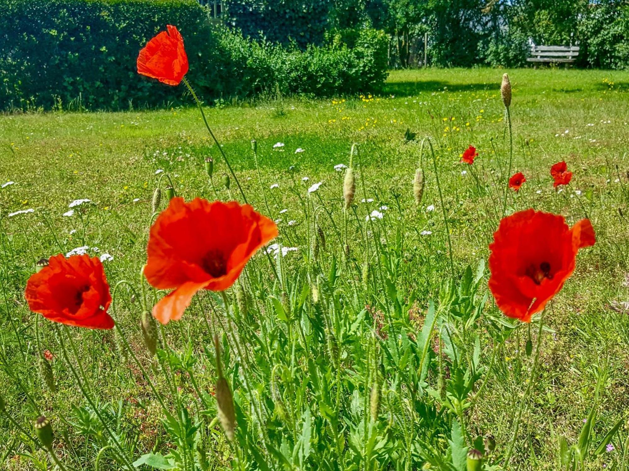 Ferienwohnungen Klein Kapelle Gingst Bagian luar foto